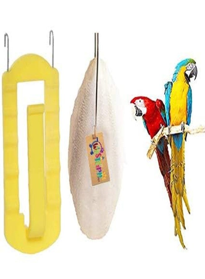 Western Era Natural High Calcium Source Cuttlebone Fish, Natural Mineral Block for Healthy Bones, Beaks & Feathers for Birds, Parrot (500grm + Holder) - Image 1